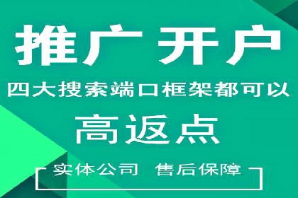 百度竞价公司与品牌合作：双赢的案例分析